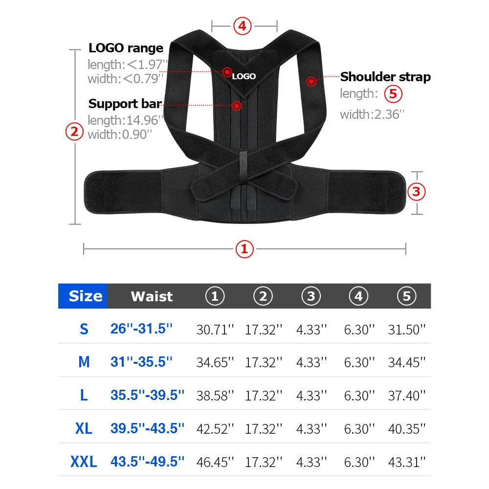 Back Brace Posture Corrector for Women and Men Provide and Back Pain Relief