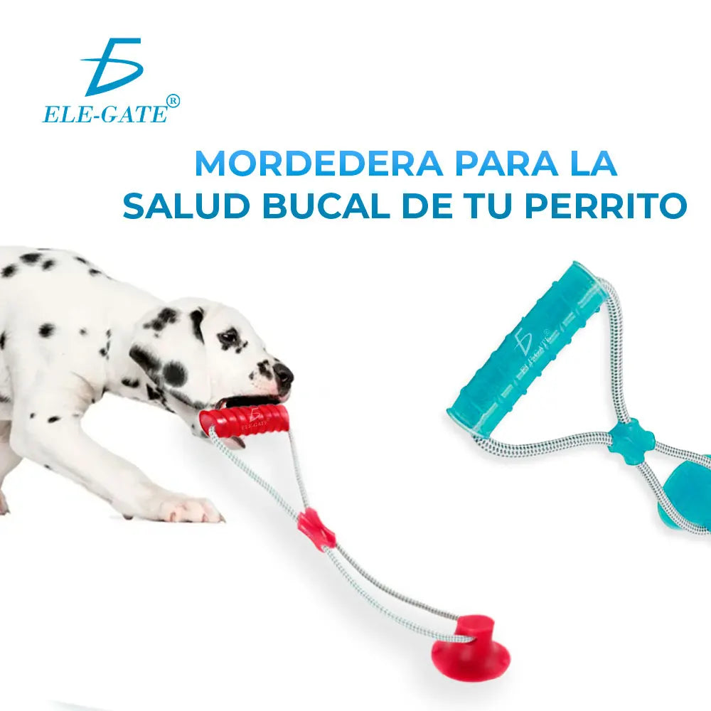 ELEGATE Interactive Dog Toy Refillable Anti-stress Teether Model MAS.05.5
