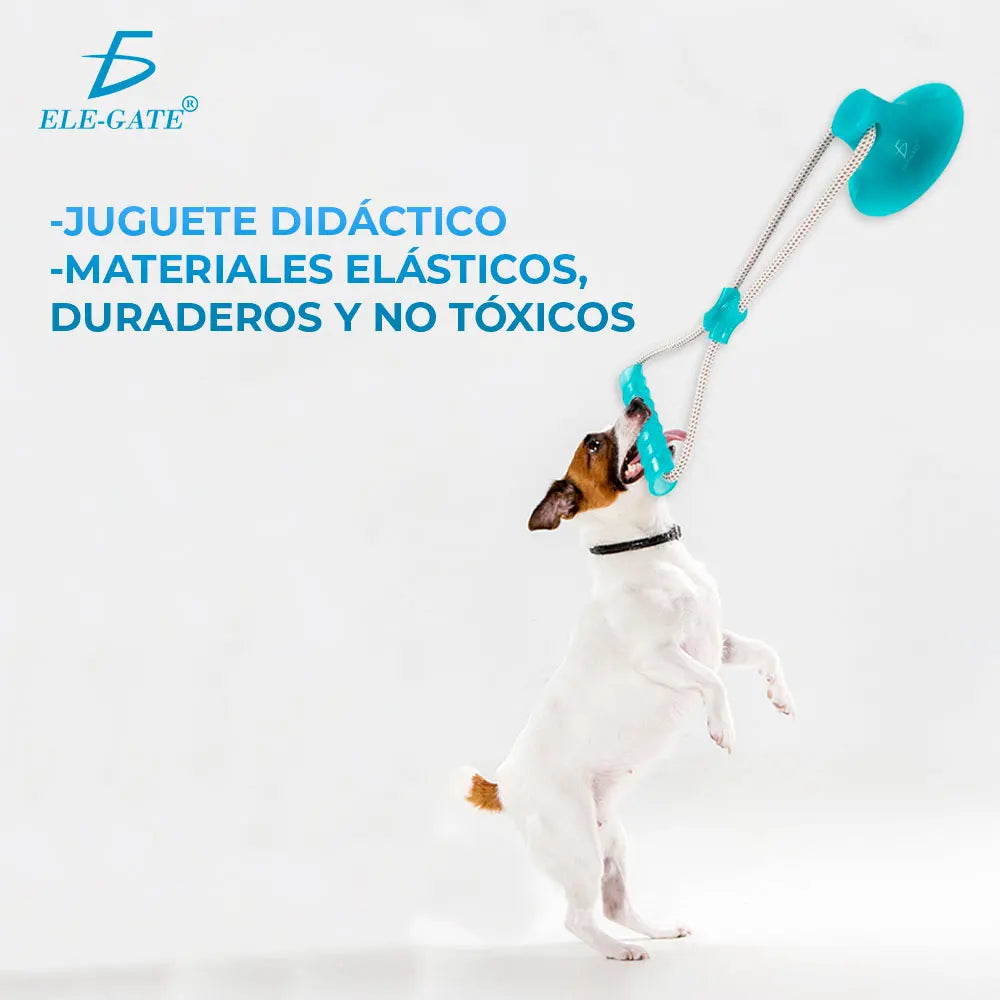 ELEGATE Interactive Dog Toy Refillable Anti-stress Teether Model MAS.05.5