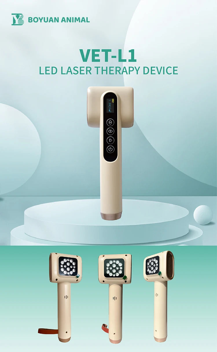 Vets Pet Care Equipment Red and Blue Light Therapy for Dogs and Cats Veterinary Instrument