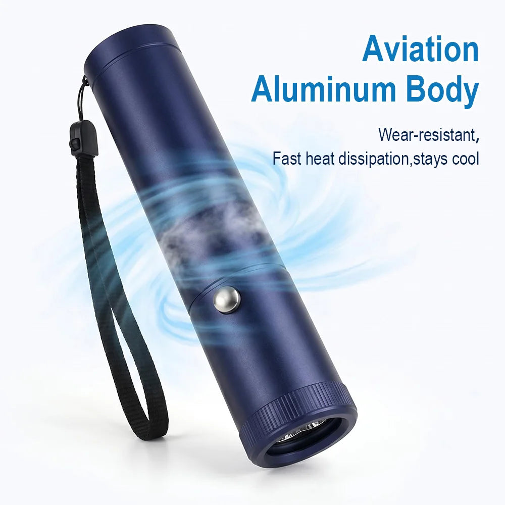 BORUiT Red Blue Light LED Physiotherapy Flashlight Infrared Therapy Flashlight 850/900nm Therapy Devices for Skin Care Body Pain