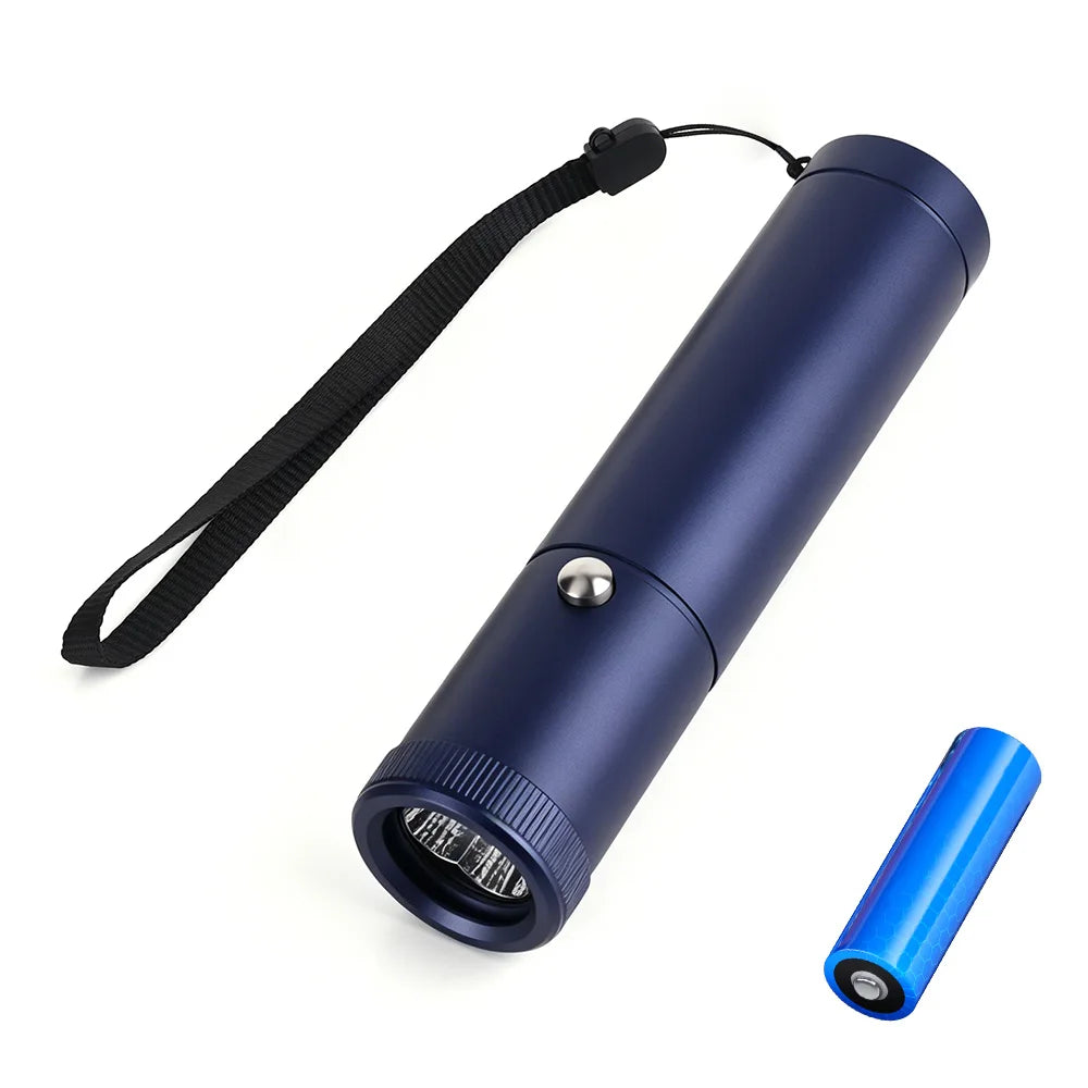 BORUiT Red Blue Light LED Physiotherapy Flashlight Infrared Therapy Flashlight 850/900nm Therapy Devices for Skin Care Body Pain