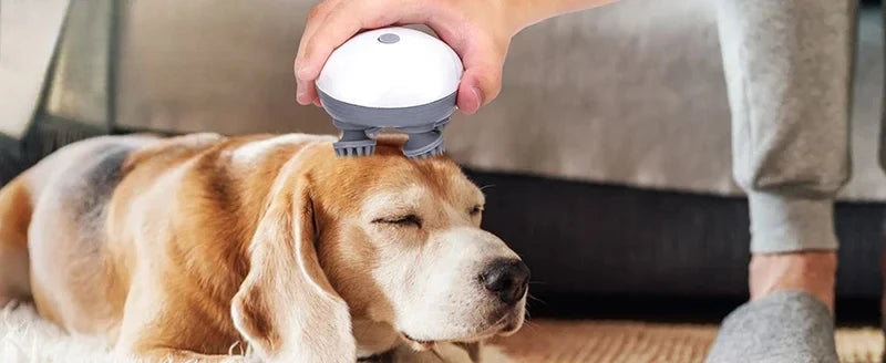 2-in-1 Deep Cleansing Vibrating Brush, Rechargeable Scalp Cleaner Pet Massager with Low Noise, Waterproof for Hair Wash Pet Care