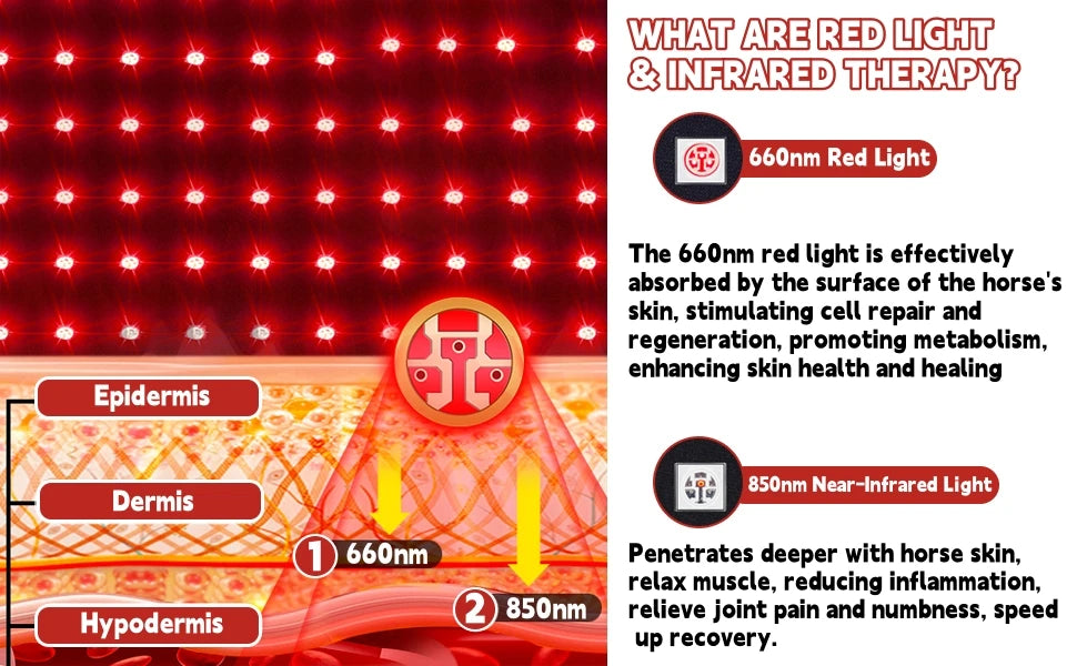 Red Light Therapy for Horses Head,Wearable Infrared Light 660&850 nm Device for Wrap Equine Head Injuries Recovery,Pain Relief