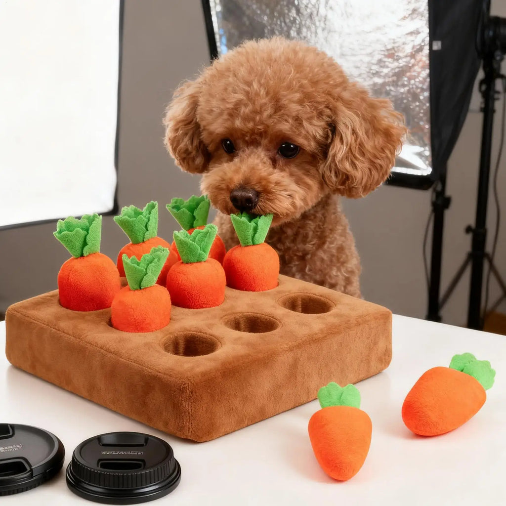 Snuffle Mat for Dogs Large Interactive Feeding Toy Mental Stimulation Enrichment Foraging Slow Feeder Boredom Relief Puppy Pets