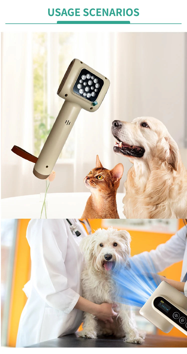 Vets Pet Care Equipment Red and Blue Light Therapy for Dogs and Cats Veterinary Instrument