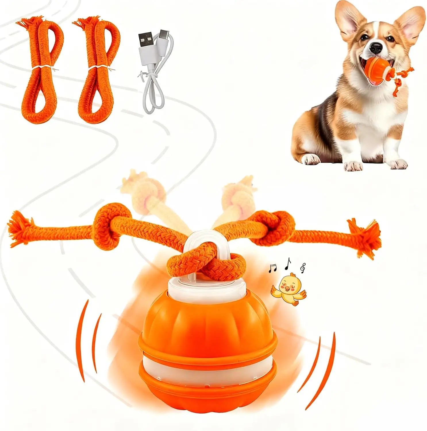 Interactive Dog Toy Ball with Rope Electronic Motion Activated Rolling Ball for Indoor Cat Dog Play Toys for Puppy Training Ball
