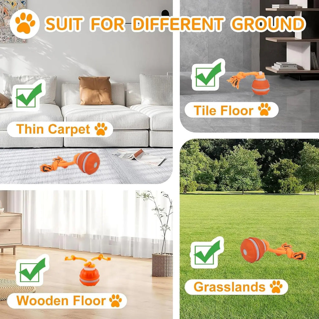 Interactive Dog Toy Ball with Rope Electronic Motion Activated Rolling Ball for Indoor Cat Dog Play Toys for Puppy Training Ball
