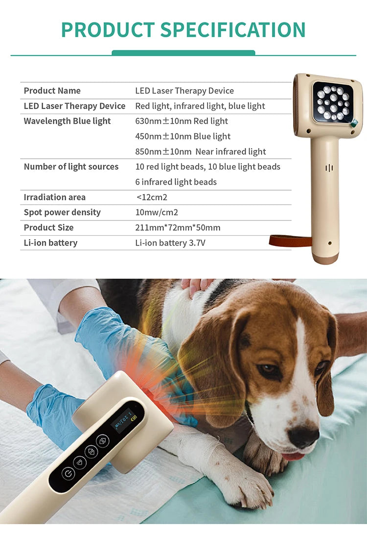 Vets Pet Care Equipment Red and Blue Light Therapy for Dogs and Cats Veterinary Instrument