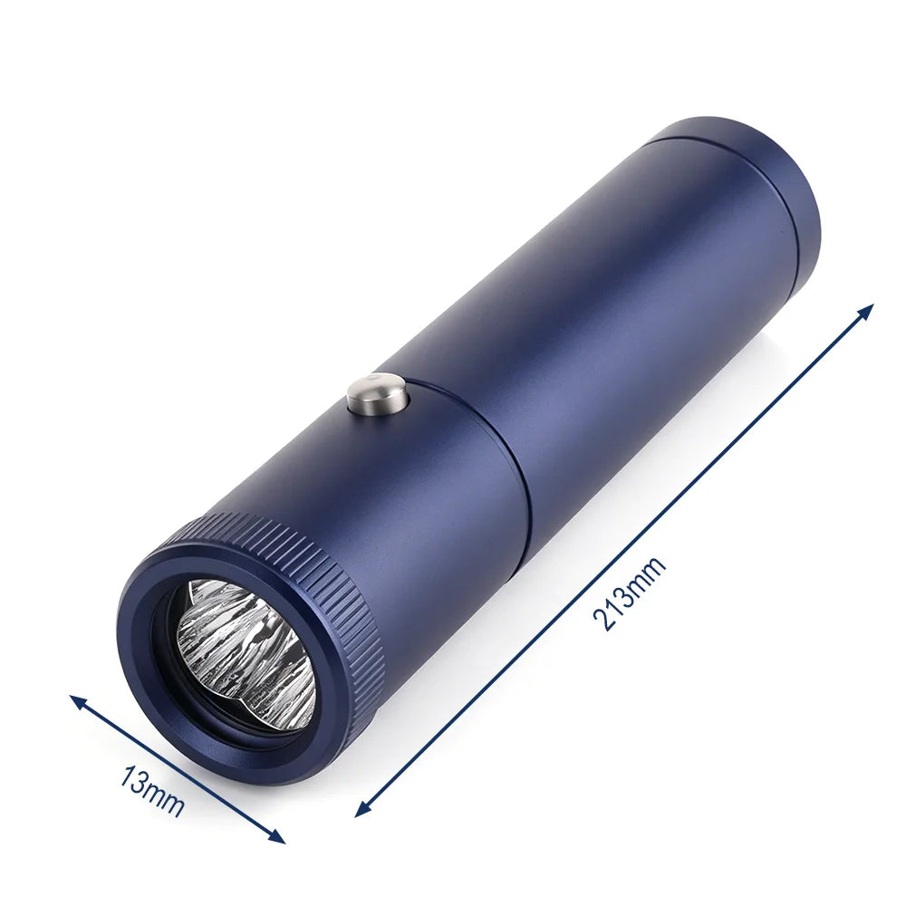 BORUiT Red Blue Light LED Physiotherapy Flashlight Infrared Therapy Flashlight 850/900nm Therapy Devices for Skin Care Body Pain