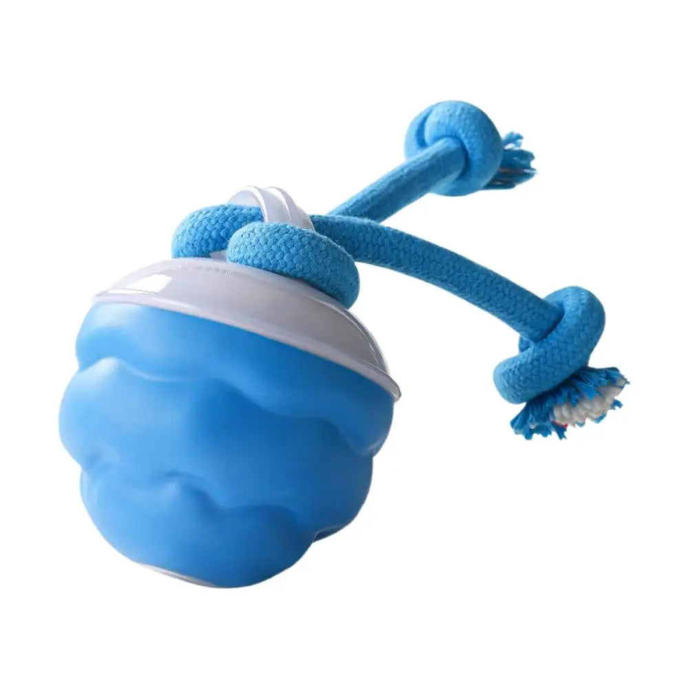 Interactive Dog Toy Ball with Rope Electronic Motion Activated Rolling Ball for Indoor Cat Dog Play Toys for Puppy Training Ball