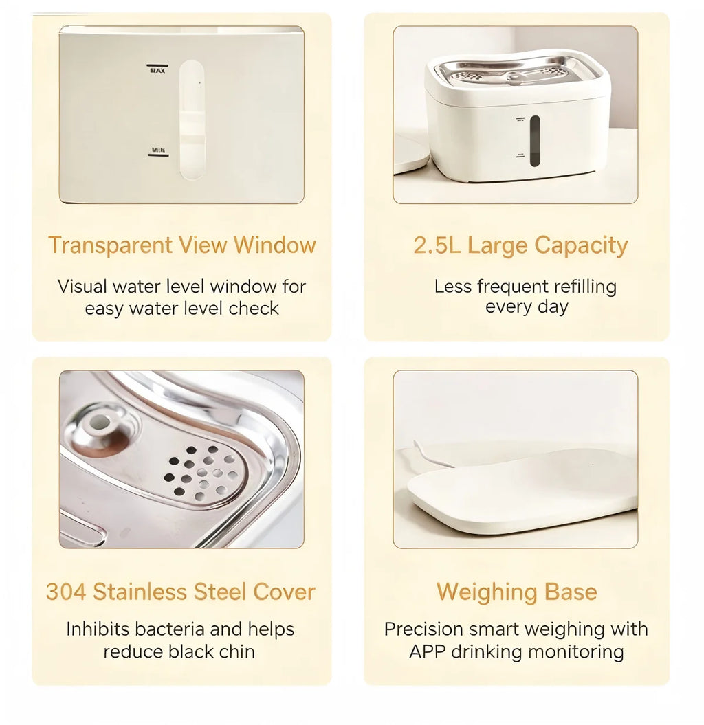 Cat Water Fountain with Auto Filter Transparent Anti-Dry Burning Recirculating Dispenser Includes Pump for Cats