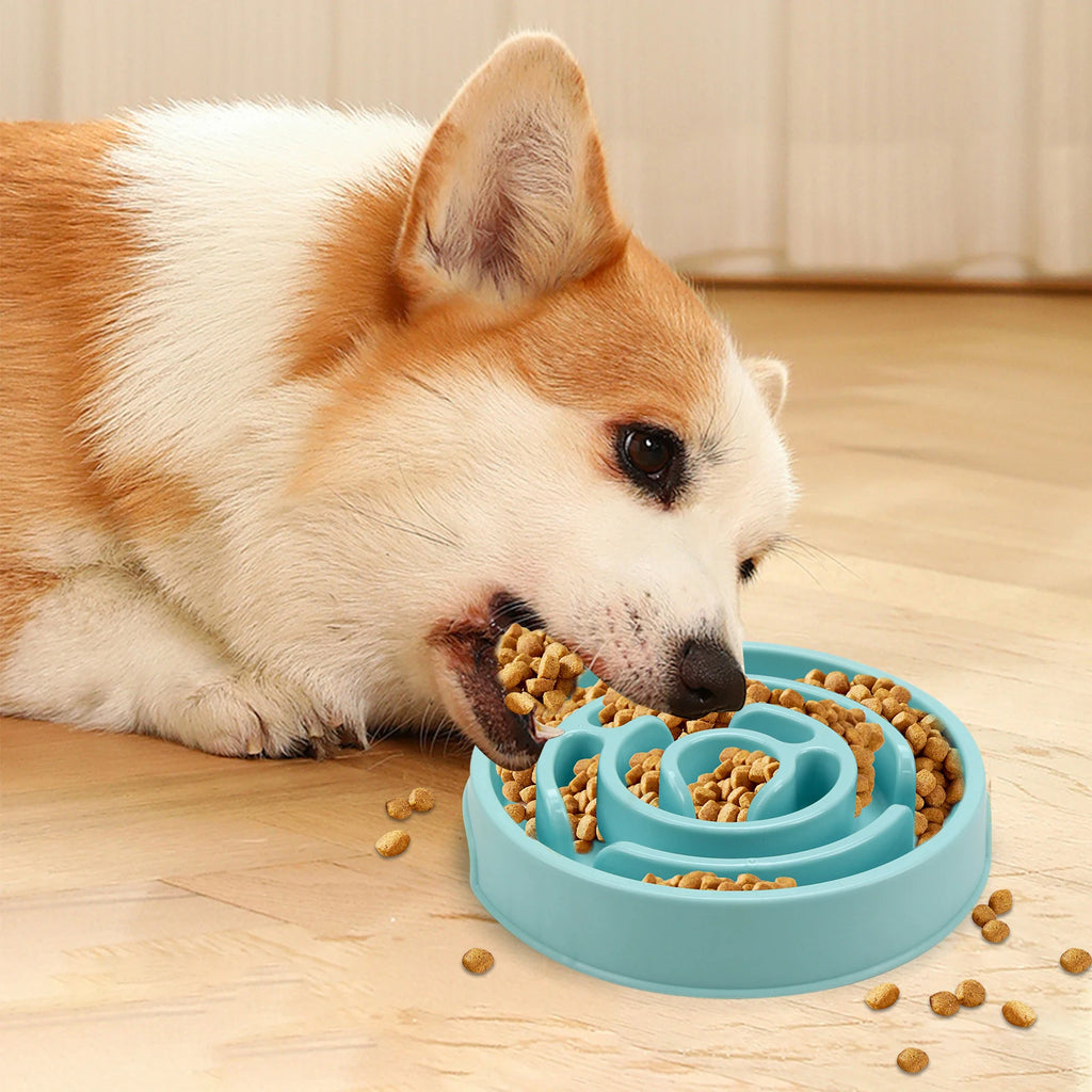 Pet Dog Slow Feeder Bowl Fun Non Slip Anti-Gulping Slower Food Feeding Dishes Eco Dog Bowl for Small Medium Large Dogs Puppy