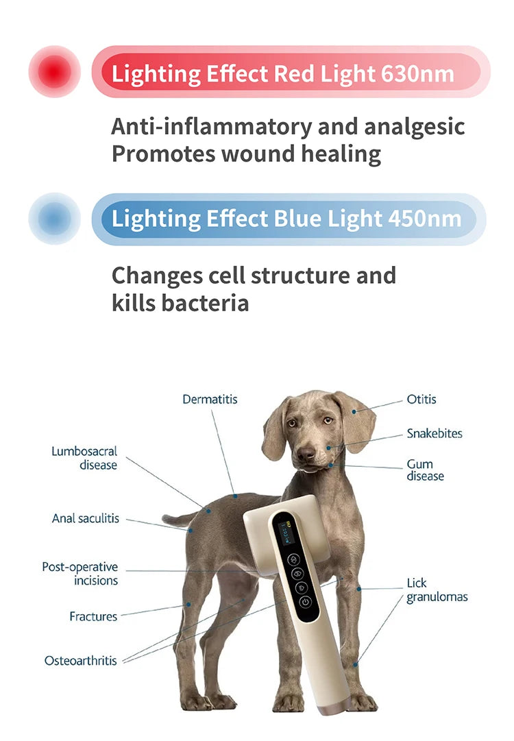 Vets Pet Care Equipment Red and Blue Light Therapy for Dogs and Cats Veterinary Instrument