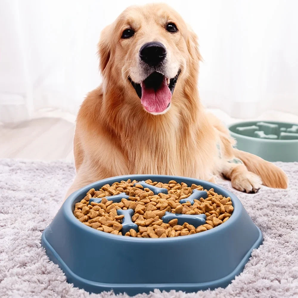 Dog Slow Feeder Non-choking Pet Bowl Anti Slip and Large Capacity for Dog and Cat Anxiety Relief Slow Food Feeding Pet Supply