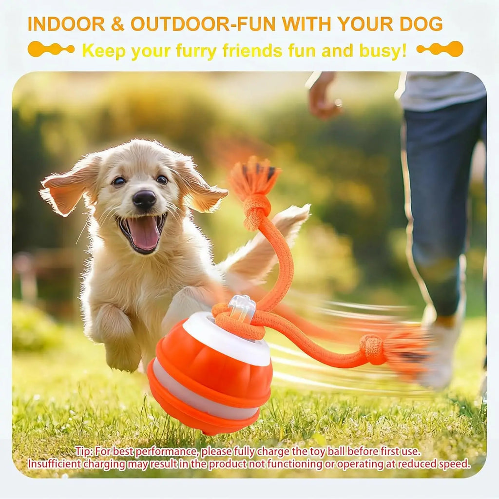 Interactive Dog Toy Ball with Rope Electronic Motion Activated Rolling Ball for Indoor Cat Dog Play Toys for Puppy Training Ball