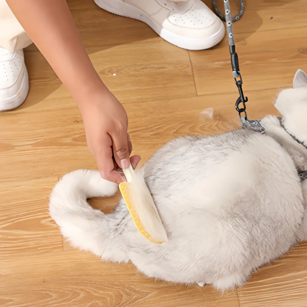 Dual-Sided Pet Grooming Brush: Detangling & Shedding Tool on One Side, Gentle Massage Bristles on the Reverse - for Pets