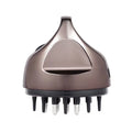 Scalp Guide Comb, Essential Oil Applicator for Hair Treatment & Growth Serum Care