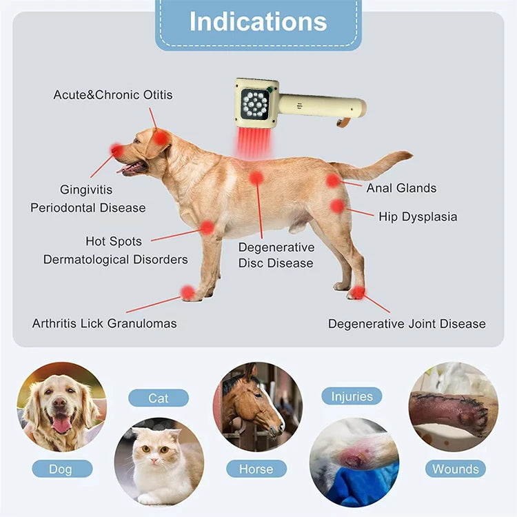 Vets Pet Care Equipment Red and Blue Light Therapy for Dogs and Cats Veterinary Instrument