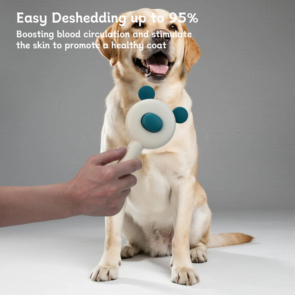 Oitabi Self Cleaning Slicker Brush - Skin Friendly Deshedding Grooming Tool for Dogs & Cats, Suitable for Shedding & Haired Pets