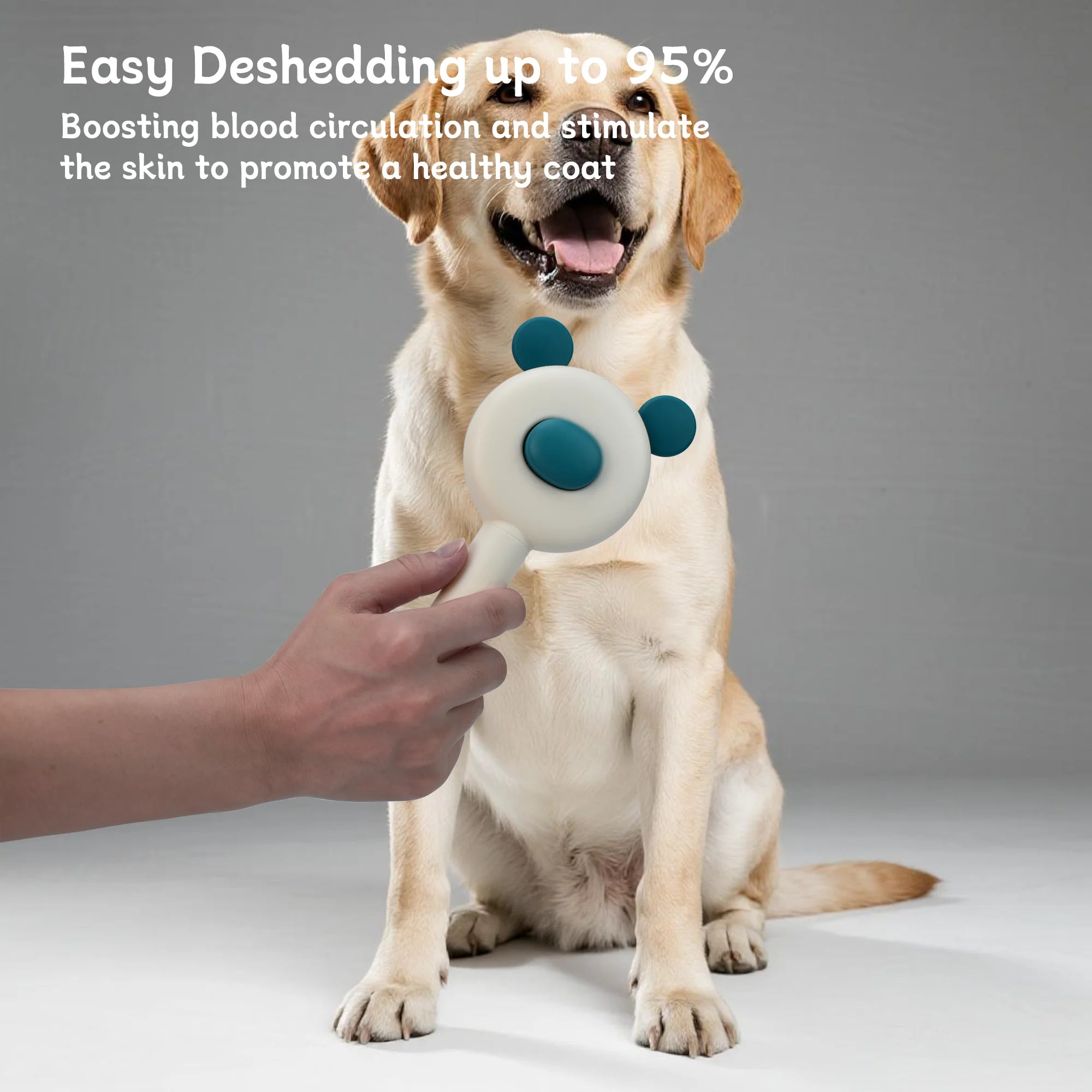 Oitabi Self Cleaning Slicker Brush - Skin Friendly Deshedding Grooming Tool for Dogs & Cats, Suitable for Shedding & Haired Pets