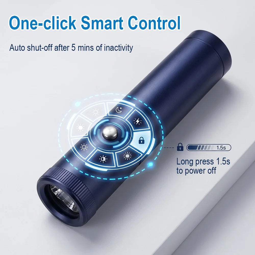 BORUiT Red Blue Light LED Physiotherapy Flashlight Infrared Therapy Flashlight 850/900nm Therapy Devices for Skin Care Body Pain