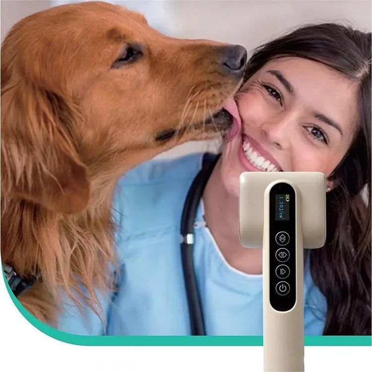 Vets Pet Care Equipment Red and Blue Light Therapy for Dogs and Cats Veterinary Instrument