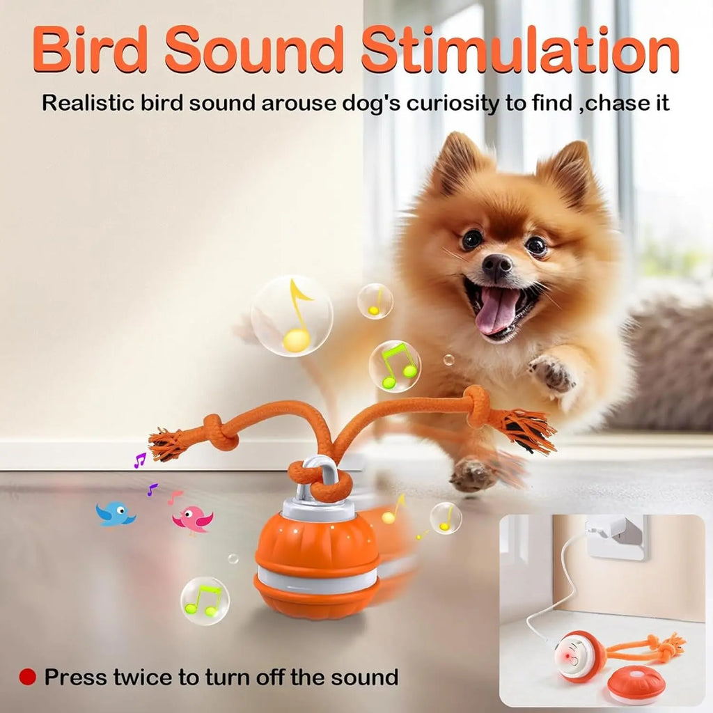Interactive Dog Toy Ball with Rope Electronic Motion Activated Rolling Ball for Indoor Cat Dog Play Toys for Puppy Training Ball