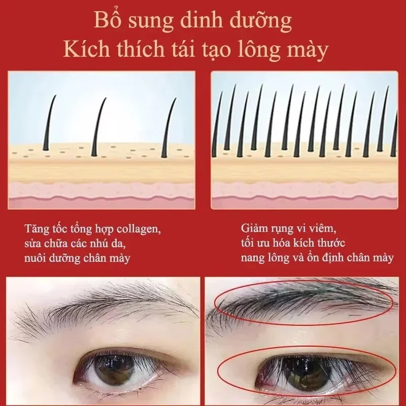 Fast Eyebrow Growth Serum Eyelash Hair Growth Anti Hairs Loss Product Prevent Baldness Fuller Thicker Lengthening Eyebrow Makeup