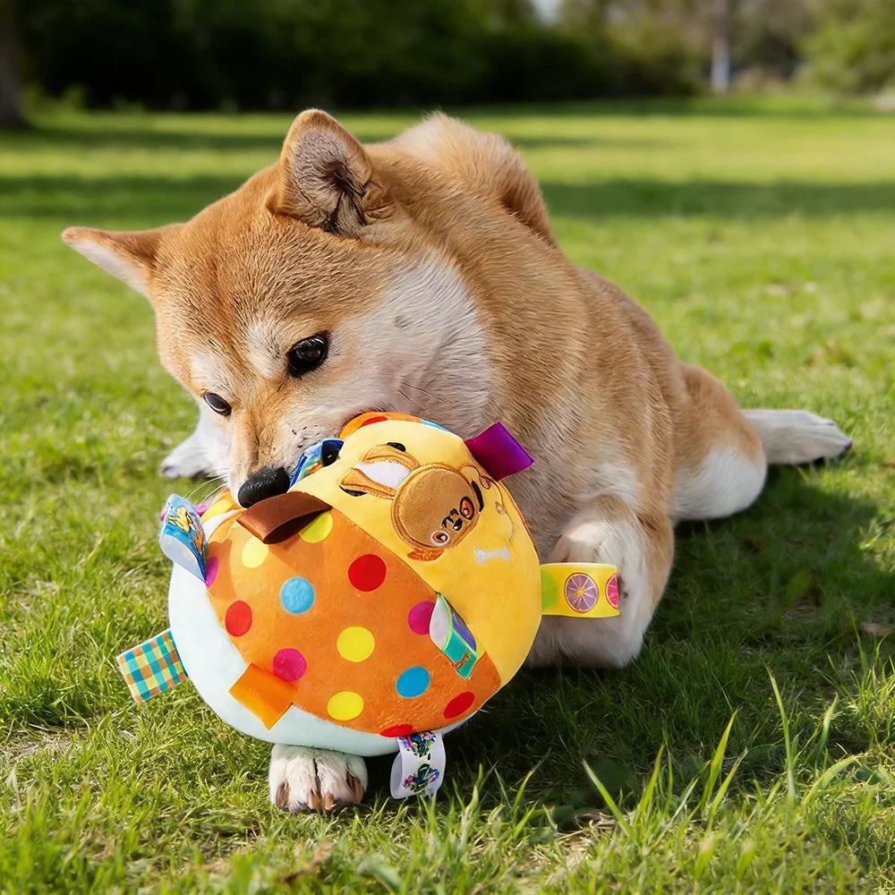 Interactive Ball Dog Toy for Aggressive Chewers Training Decompress Bite Resistant Plush Handle Dog Toys with Bells Pet Supplies