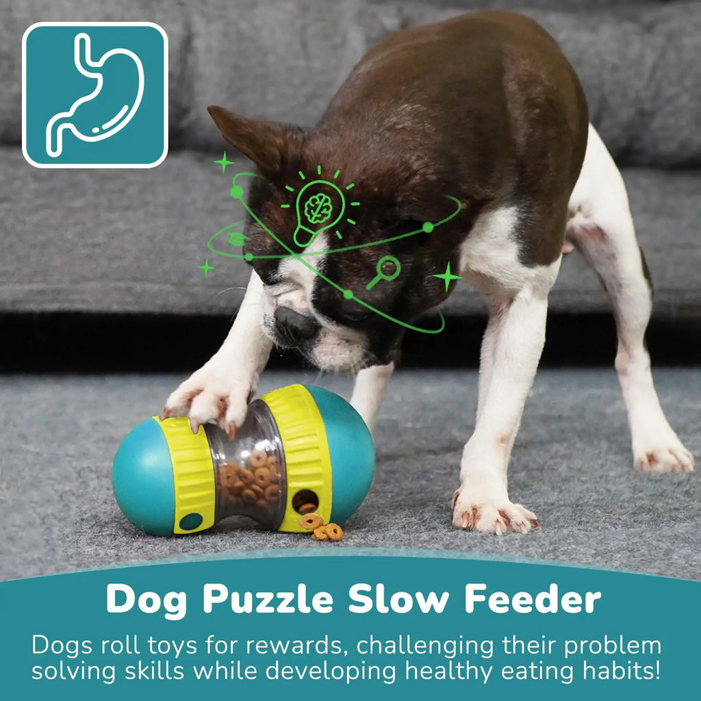 Dog Toy Improve IQ Interactive Puppy Toys For Small Medium Dogs Cat Slow Feeder Ball Labrador Golden Retriever Pet Supplies