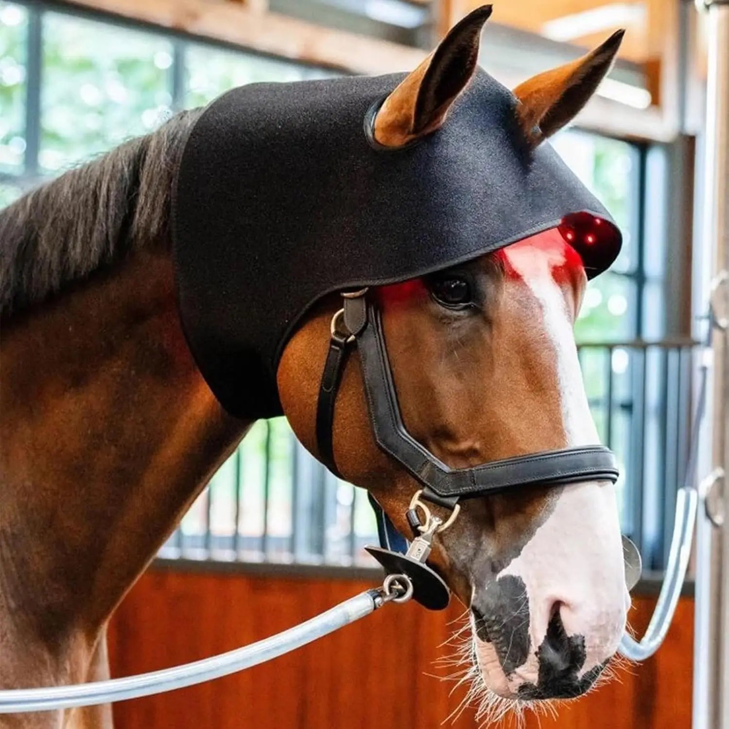 Red Light Therapy for Horses Head,Wearable Infrared Light 660&850 nm Device for Wrap Equine Head Injuries Recovery,Pain Relief