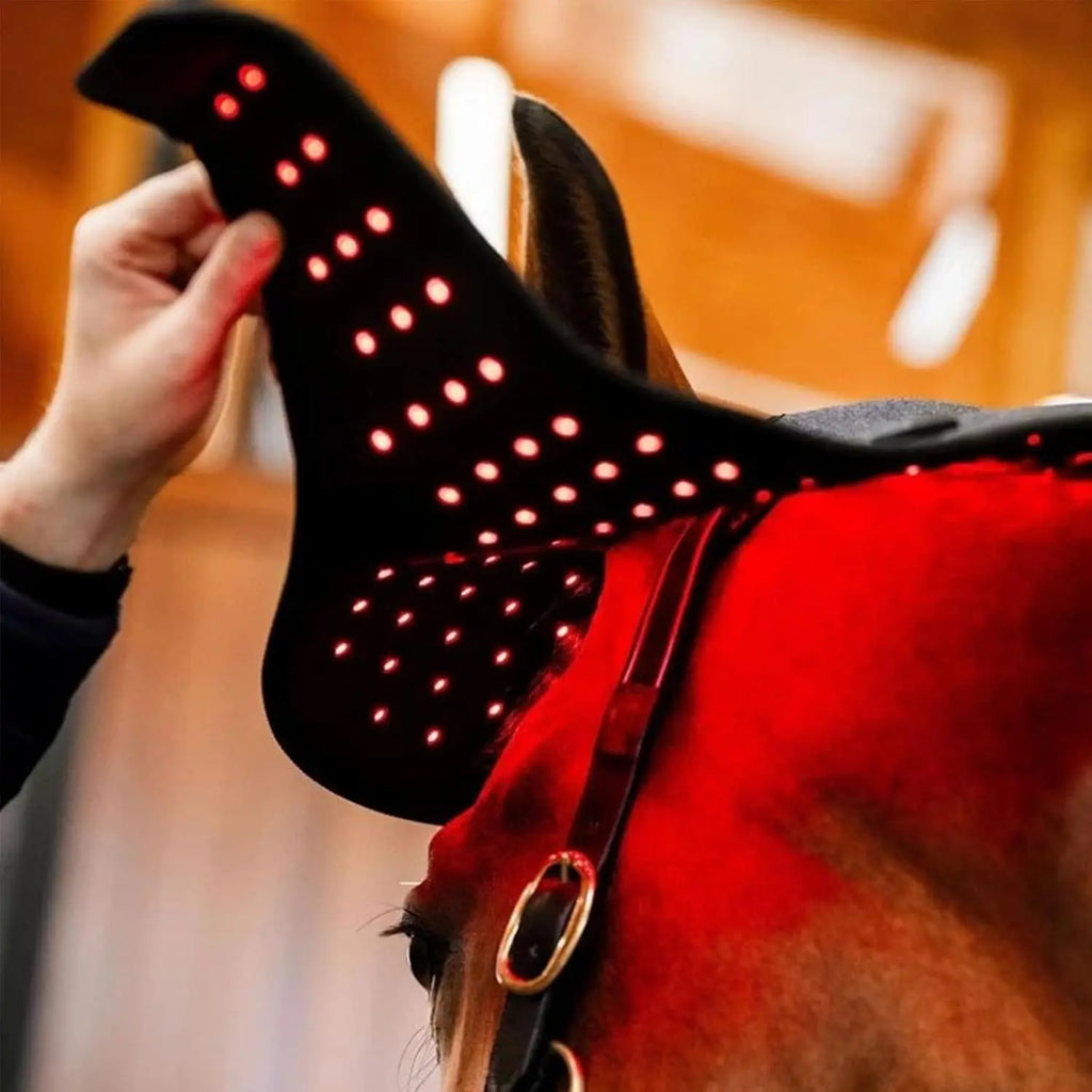 Red Light Therapy for Horses Head,Wearable Infrared Light 660&850 nm Device for Wrap Equine Head Injuries Recovery,Pain Relief